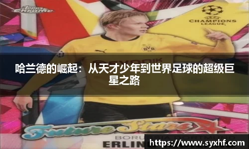 米兰体育官网